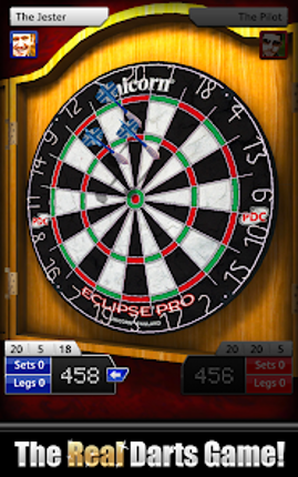 Darts Match screenshot