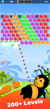 Bubble Honey Shooter Image