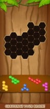 Hexa puzzle : Block blast Image