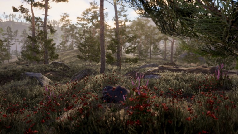 The lost trail Image