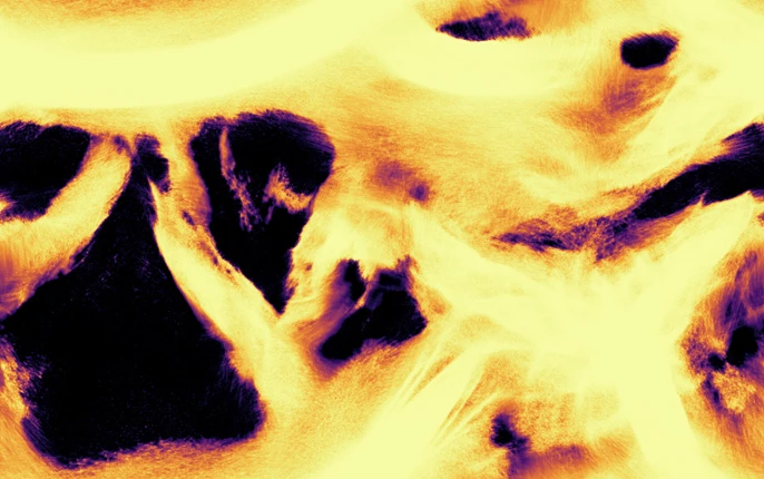 Vizza Image
