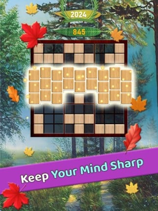 Wooden 99: Sudoku Block Puzzle Image