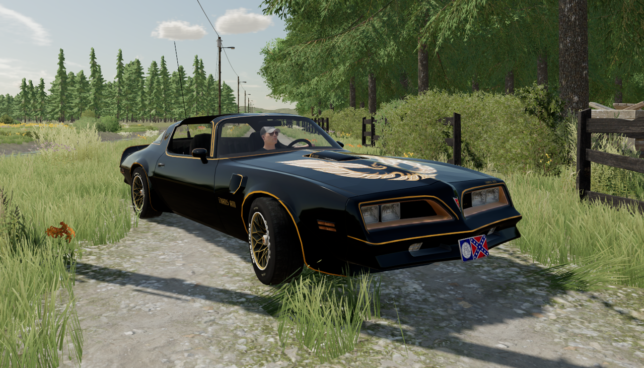 Games like 77 Pontiac Trans Am Firebird Bandit FS22