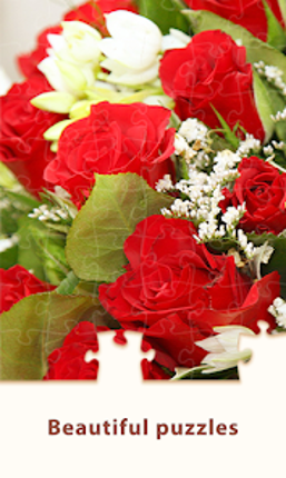 Jigsaw Puzzle : puzzles game screenshot