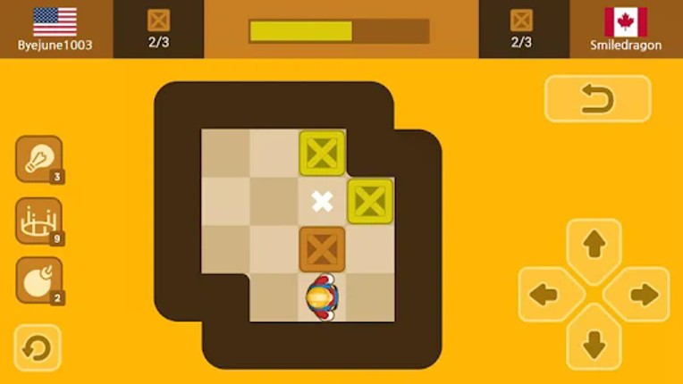 Push Maze Puzzle Image