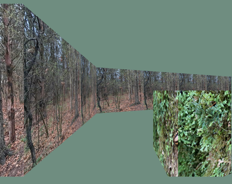 Games like Moss Eater 3D