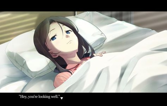 Narcissu: Himeko's Epilogue Image