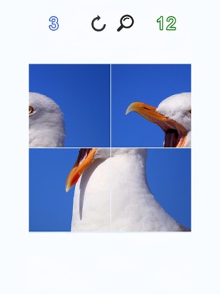 Photo Logic Game screenshot