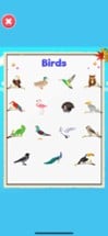 Picture Dictionary Kids Games Image