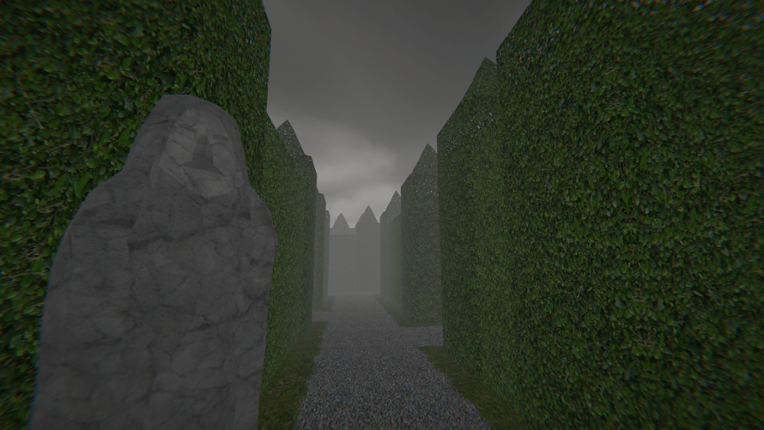 Project Maze Image