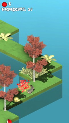 Animal Dash Image