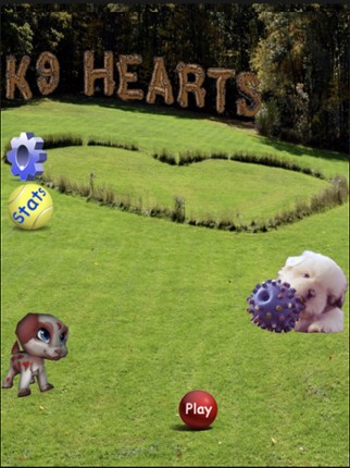 K9 Hearts Image