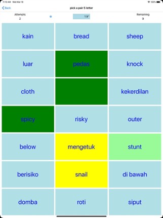 PickAPair Indonesian - English screenshot