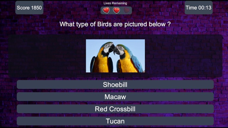 Quiz Master Deluxe Image