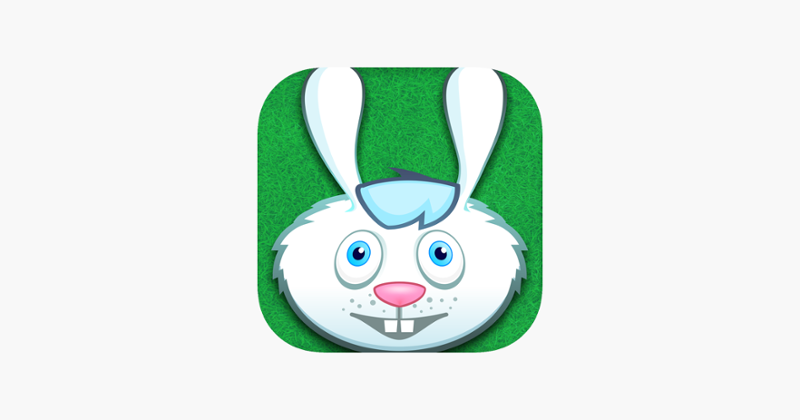 Rabbit Rush Run Game Cover