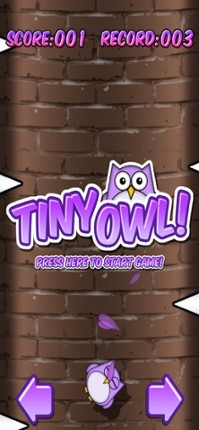 Tiny Owl screenshot