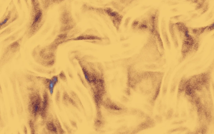Vizza Image
