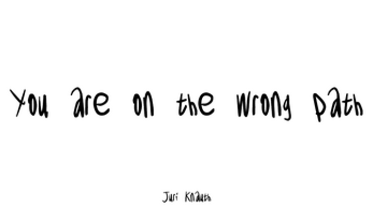 You Are On The Wrong Path! screenshot