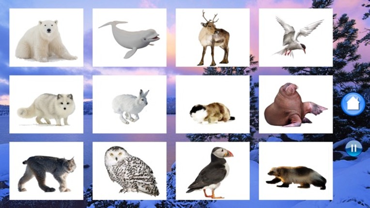 Animals North screenshot