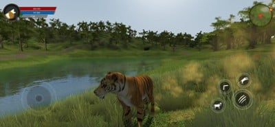 Asian Tiger Survival Simulator Image