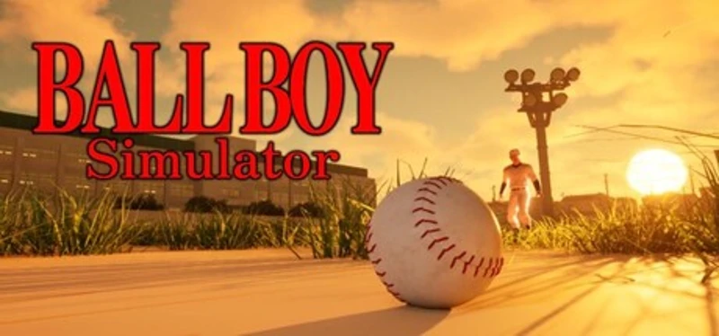BALL BOY Simulator Image