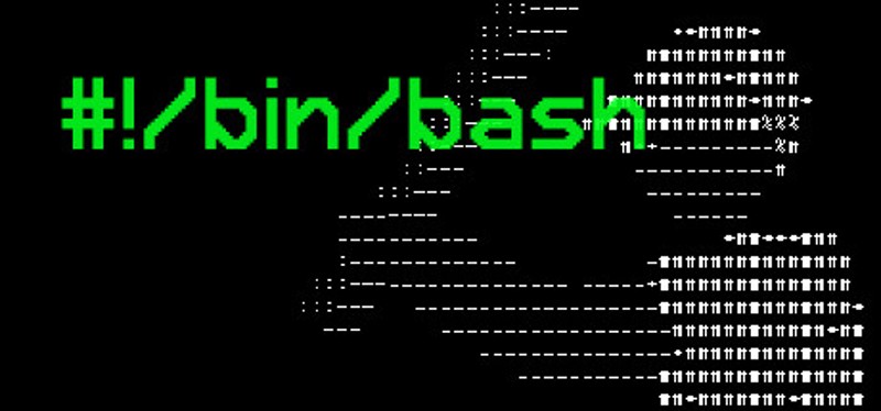 #!/bin/bash Image