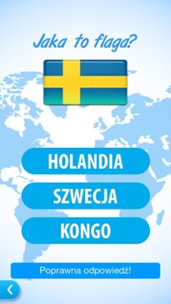 Flags Fun screenshot