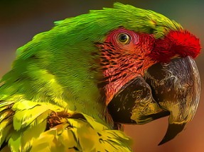 Parrot Bird Puzzle Image