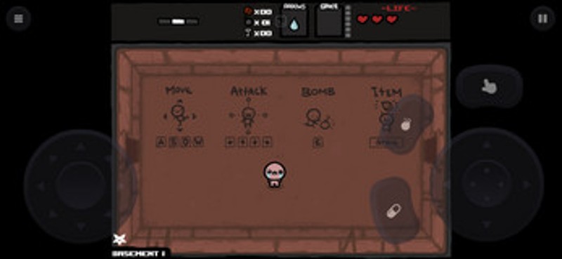 Ruffle Emulator Image