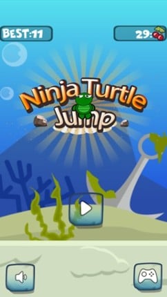 Tiny Ninja Turtles Jump Around Up &amp; Down On Rooftop screenshot