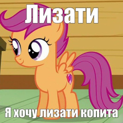 КОПИТОЛИЗЬ Image