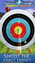 Archery Target Simulation Image