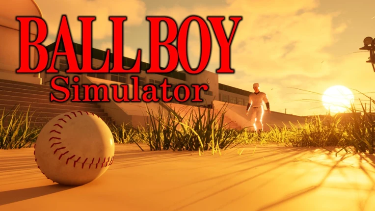 BALL BOY Simulator Image