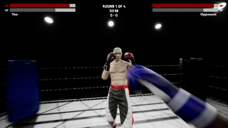 Boxing Simulator screenshot