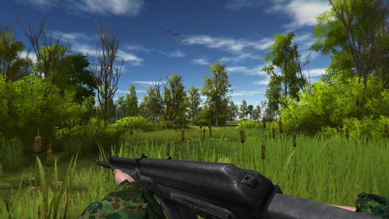 Duck Hunting screenshot