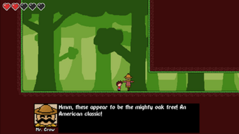 Kite Forest Image