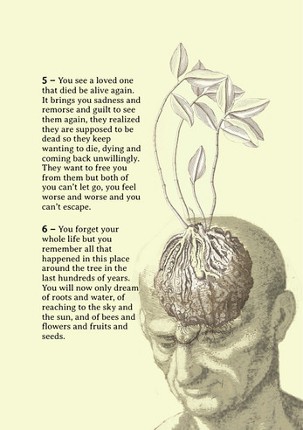 Moon Elves screenshot