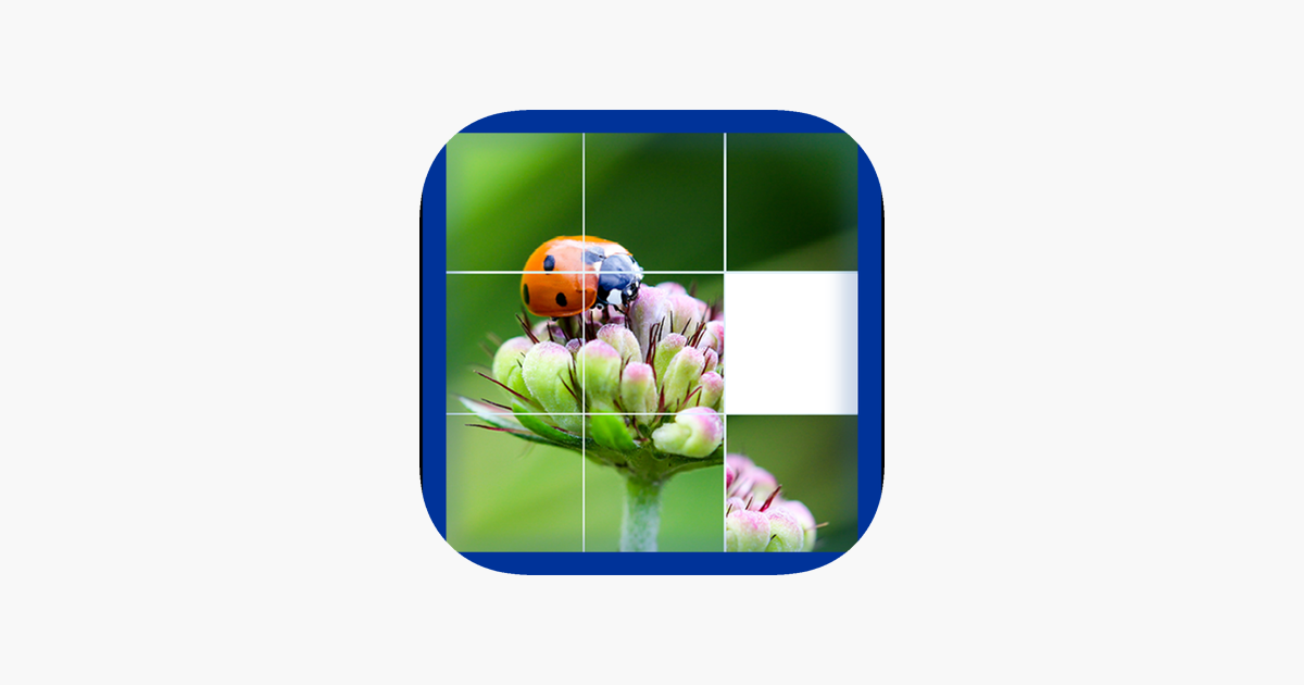 Games like Photo Logic Game