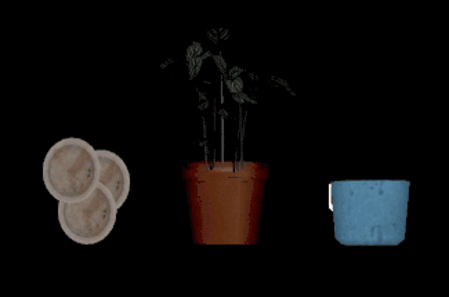 There are people in your walls screenshot