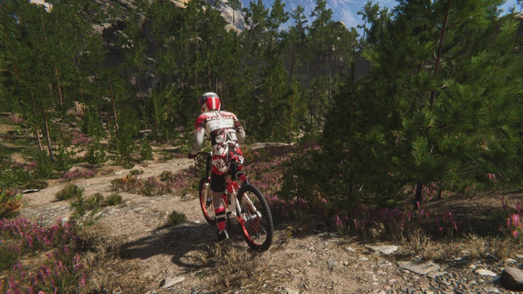 Traildown: Downhill Mountain Biking Image
