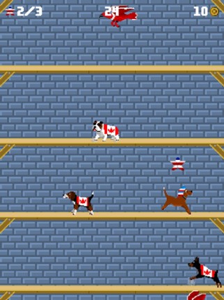 Washington's Wall screenshot