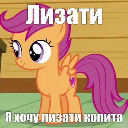 КОПИТОЛИЗЬ Image
