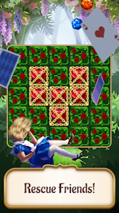 Alice in Puzzleland Image