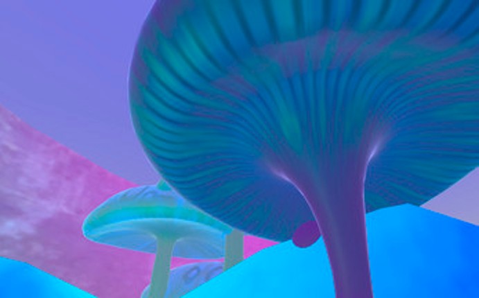 Anomaly Image