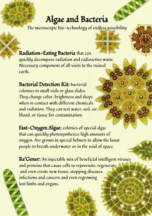 Moon Elves screenshot