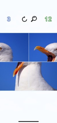 Photo Logic Game screenshot