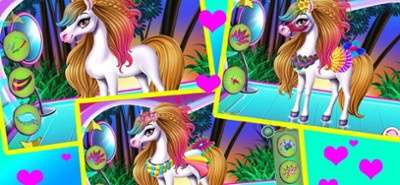 Pony Fashion Show Image