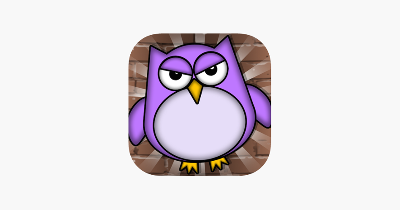 Tiny Owl Image