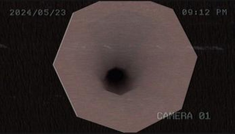 Gorilla Nightmare's Image
