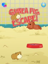 Guinea Pig Escape! - Jump Fall Cage Hero Image